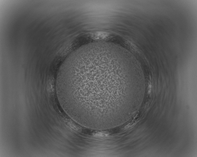 X0000062790561200512290225