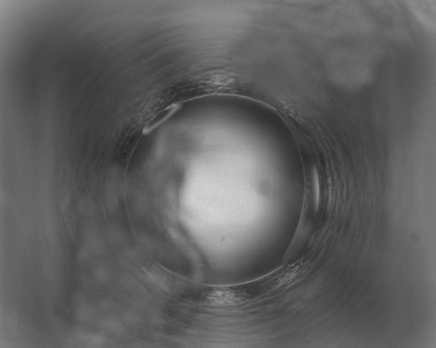 X0000062790562200512290225