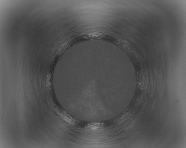 X0000062790563200512290225