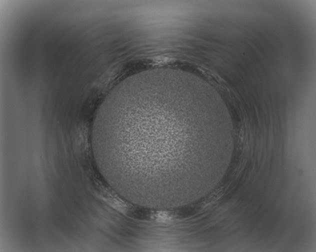 X0000062790565200512290225