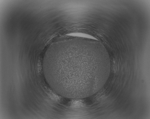 X0000062790569200512290225