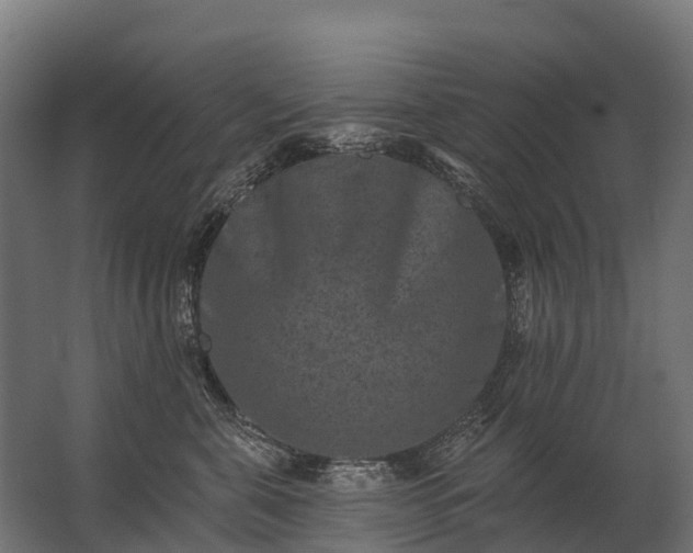 X0000062790571200512290226