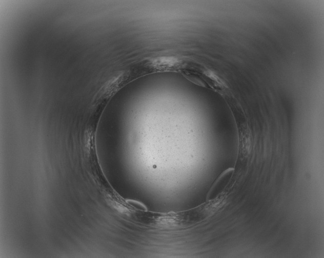 X0000062790574200512290226