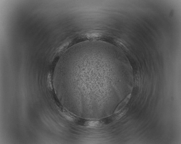 X0000062790575200512290226