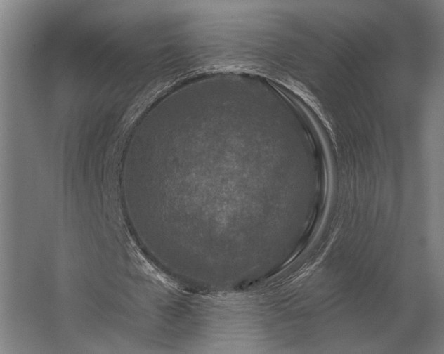 X0000062790577200512290225