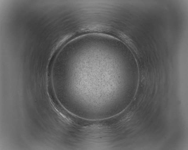 X0000062790578200512290225