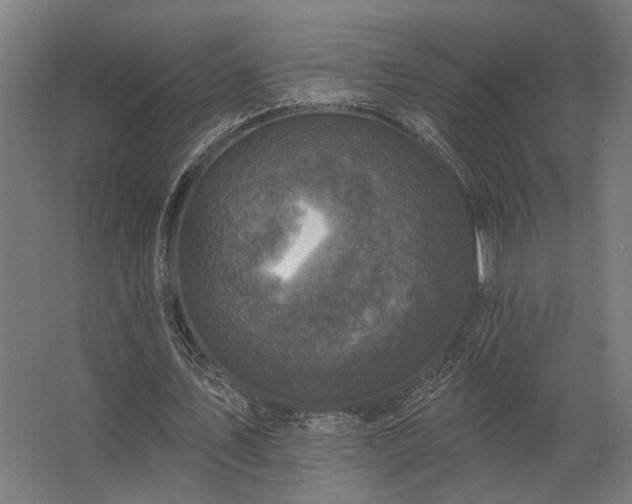 X0000062790579200512290225