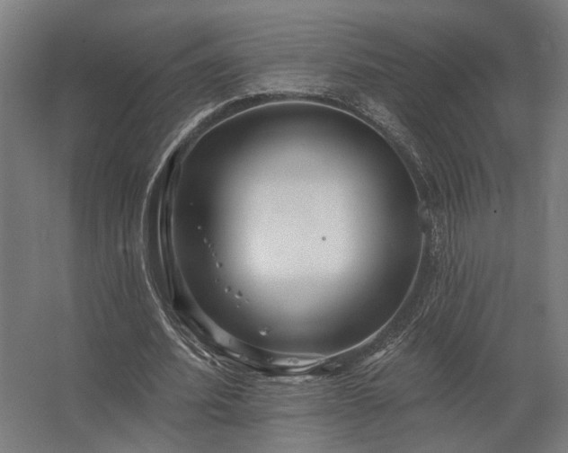 X0000062790580200512290225