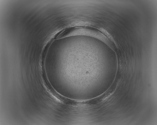 X0000062790581200512290225