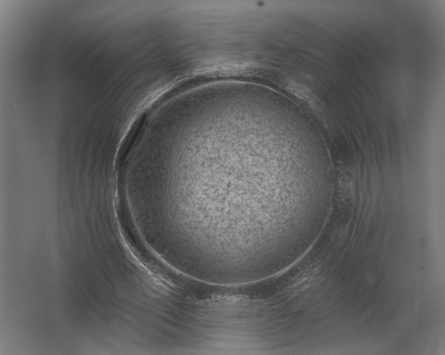 X0000062790582200512290225