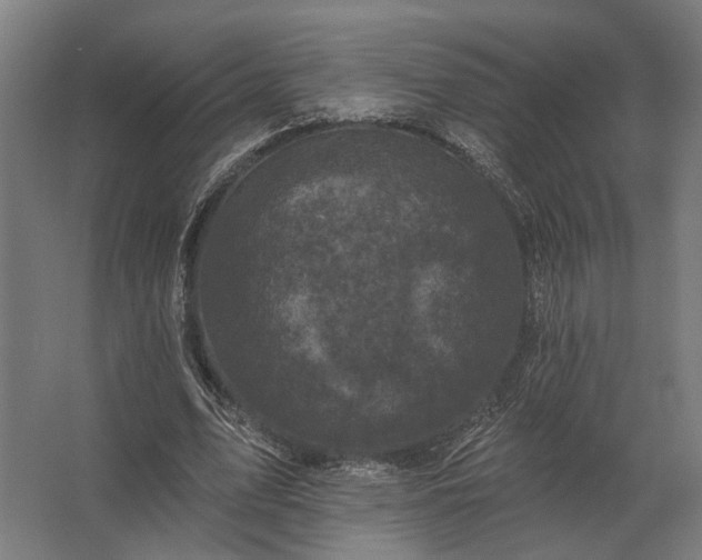 X0000062790583200512290225