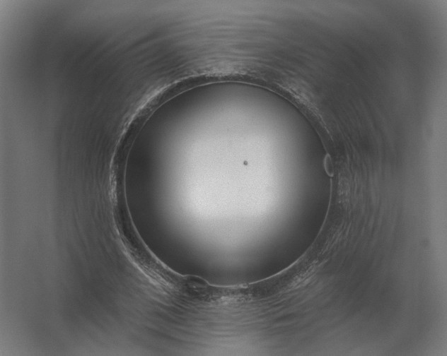 X0000062790584200512290225