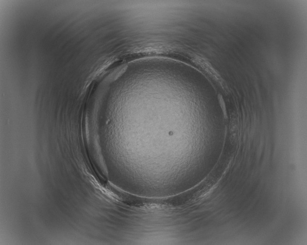 X0000062790585200512290225