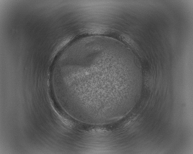 X0000062790586200512290225