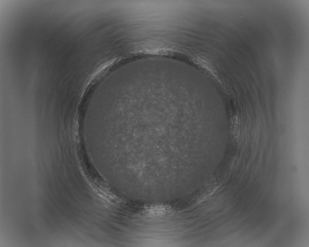 X0000062790587200512290225