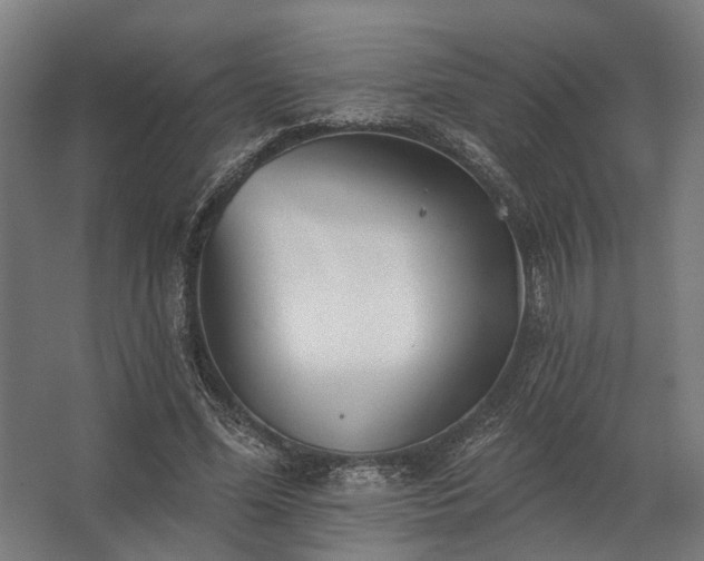 X0000062790588200512290225