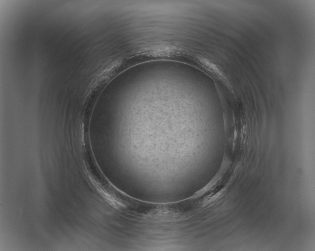 X0000062790589200512290225