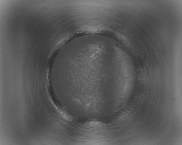 X0000062790590200512290225