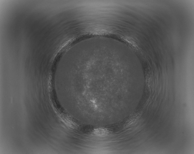 X0000062790591200512290225