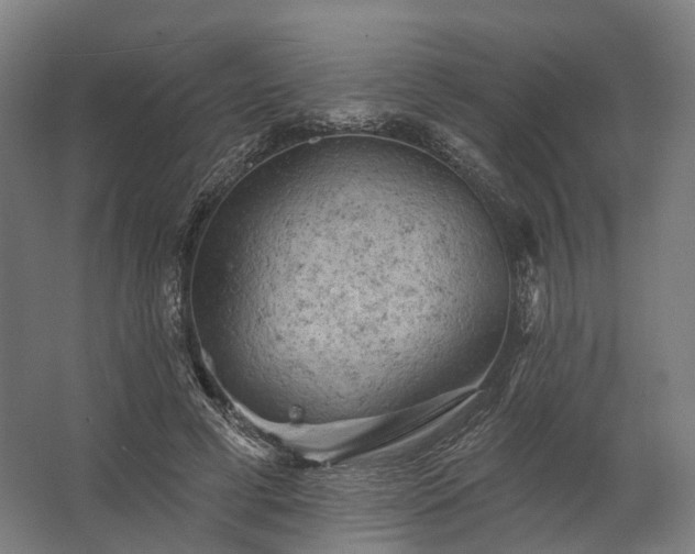 X0000062790593200512290225