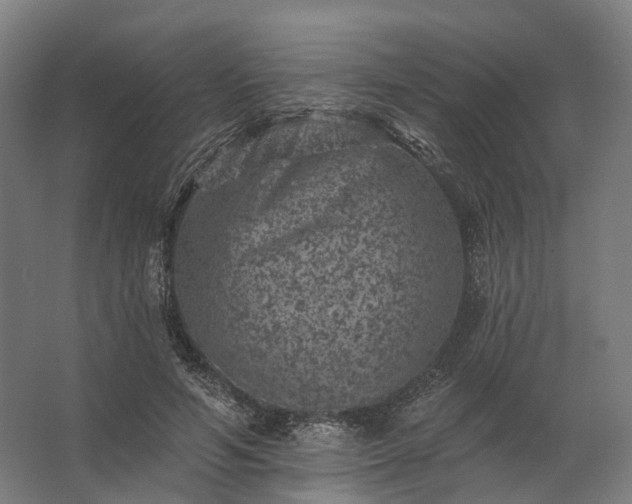 X0000062790594200512290225