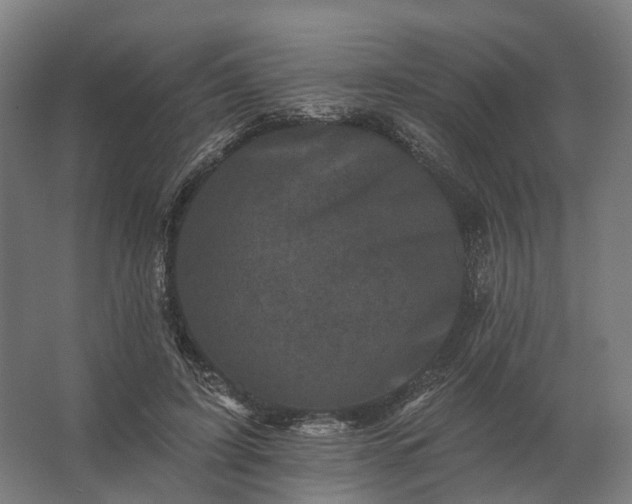 X0000062790595200512290225