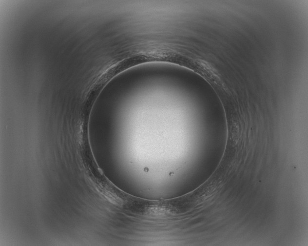 X0000062790596200512290224