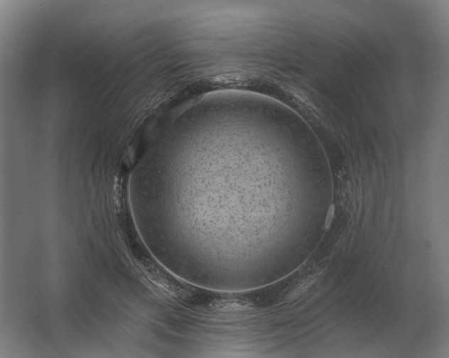 X0000062790597200512290224