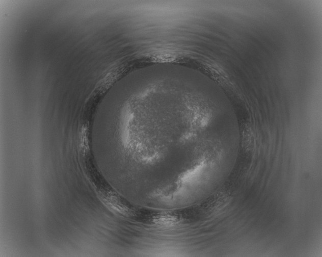 X0000062790598200512290224