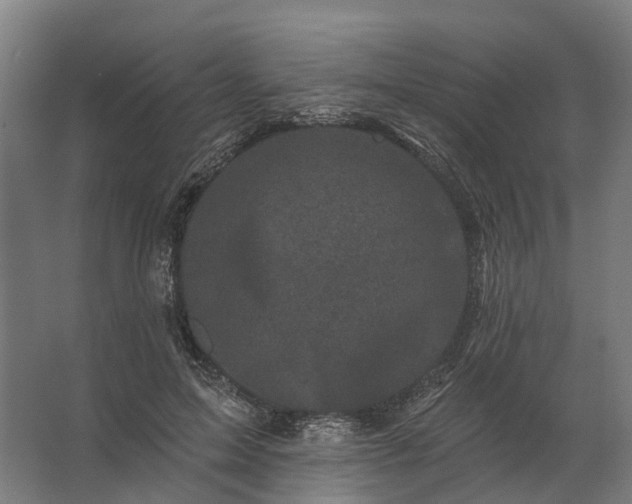 X0000062790599200512290224