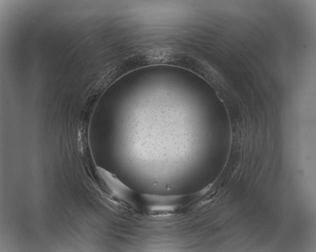 X0000062790601200512290224