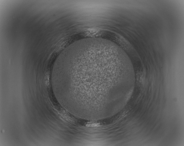 X0000062790602200512290224