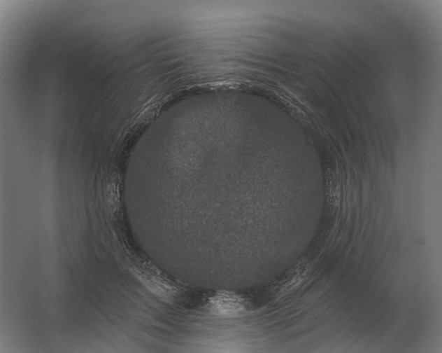 X0000062790603200512290224