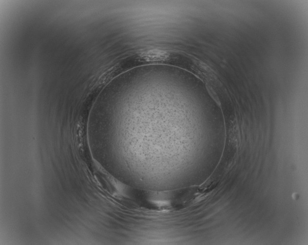 X0000062790604200512290224