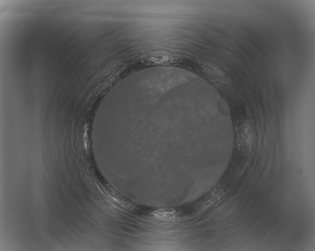 X0000062790606200512290224