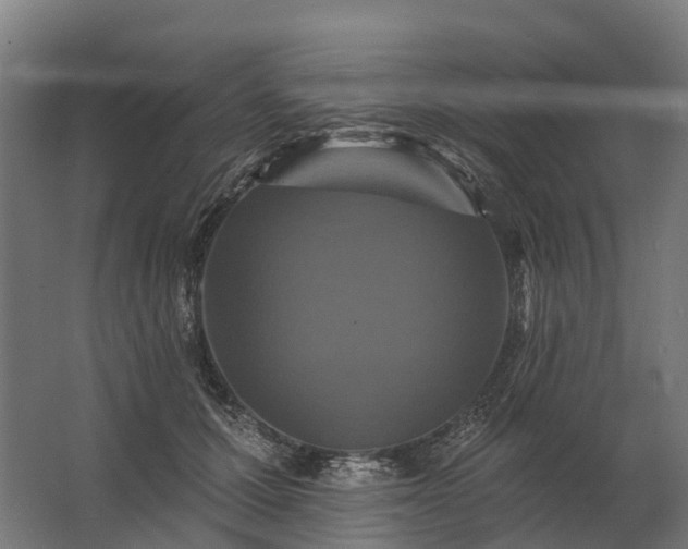 X0000062790607200512290224