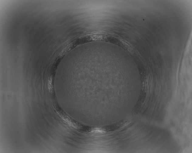 X0000062790610200512290224