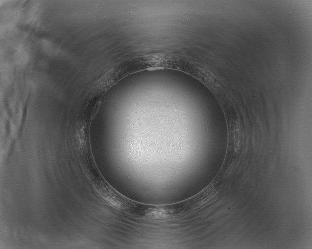 X0000062790611200512290224