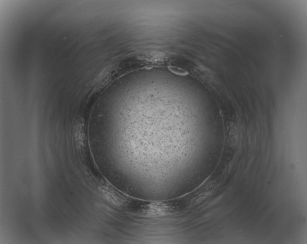 X0000062790612200512290224