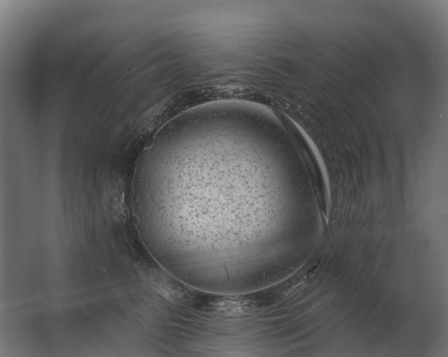 X0000062790615200512290224