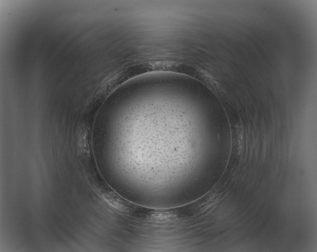 X0000062790619200512290224