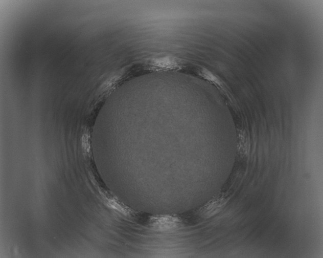 X0000062790621200512290224