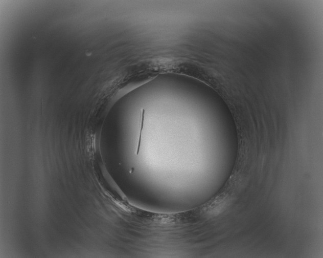 X0000062790624200512290224