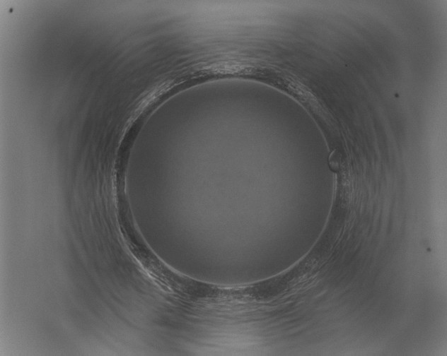 X0000062790626200512290223