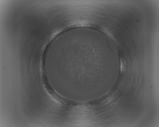 X0000062790627200512290223