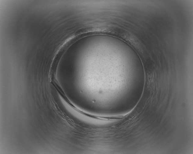 X0000062790628200512290223