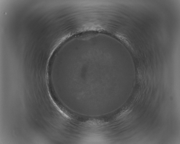 X0000062790630200512290223