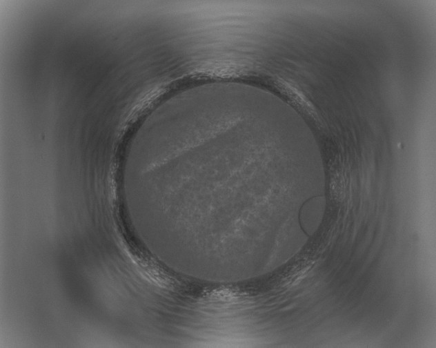 X0000062790635200512290223