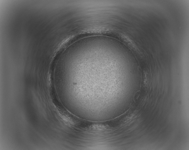 X0000062790636200512290223