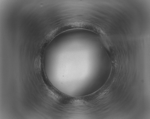 X0000062790637200512290223